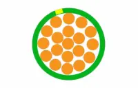 M22759/16-10-54 GREEN/YELLOW